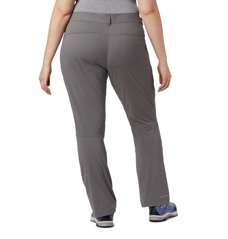 Women's Columbia Saturday Trail Stretch Pants Grey | Plus Size CA-T45C6